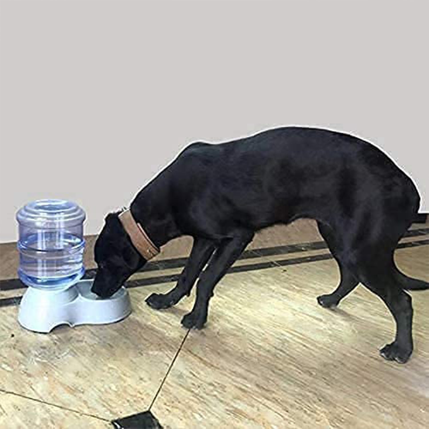 Automatic Pet Water Dispenser - Easy to Clean - Market FindsMarket FindsBlack dog drinking water from Wukusy automatic pet water dispenser on tiled floor