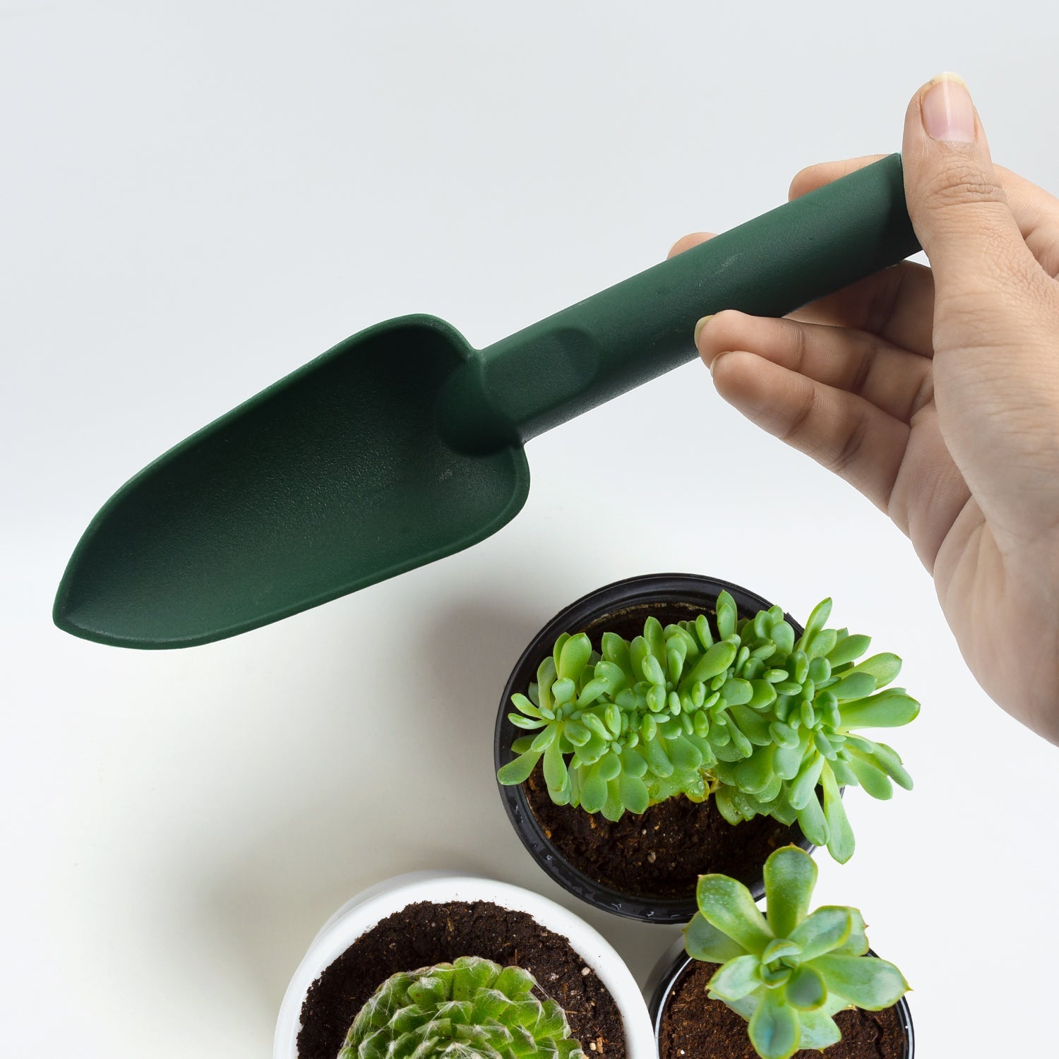 Wukusy heavy duty garden hand trowel in green held above potted succulent plants