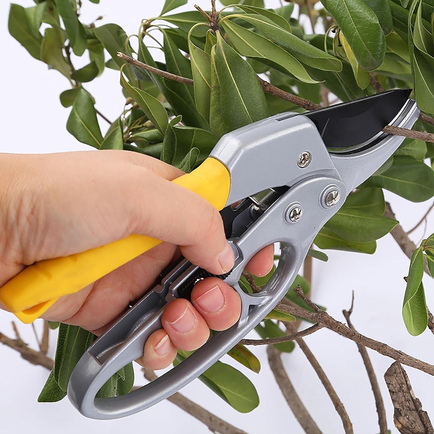 Wukusy professional gardening shears with yellow handle cutting green leafy branches