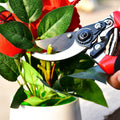 Wukusy sharp garden cutter for flowers trimming green stems with red handle