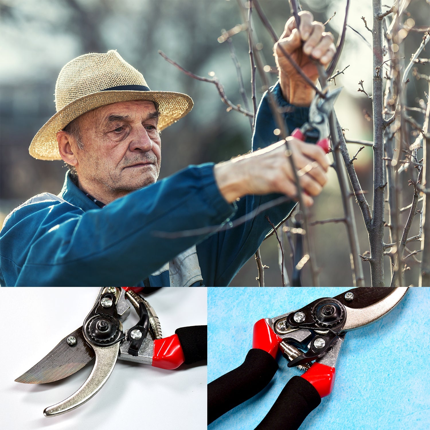 Wukusy sharp garden cutter for flowers with ergonomic handles shown in close-up and in use by gardener